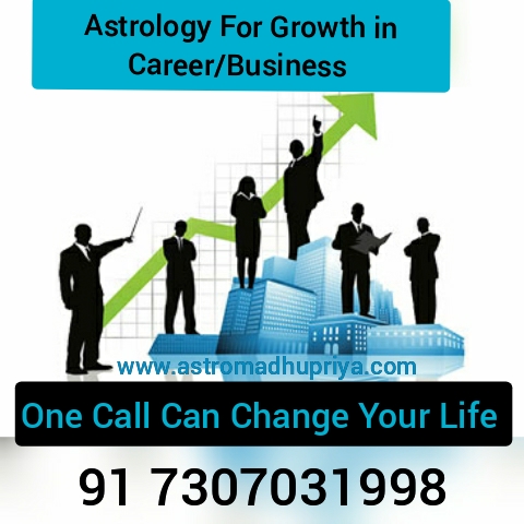 Astrology remedies for groth in Business , Business Problem solution astrologer in India