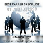 career problem solution sprecialist astrologer in Delhi India